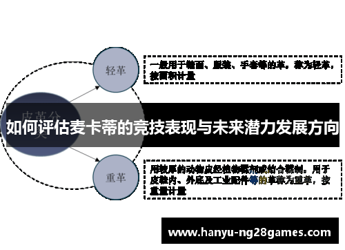 如何评估麦卡蒂的竞技表现与未来潜力发展方向 如何评估麦卡蒂的竞技表现与未来潜力发展方向