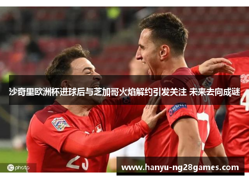 沙奇里欧洲杯进球后与芝加哥火焰解约引发关注 未来去向成谜 沙奇里欧洲杯进球后与芝加哥火焰解约引发关注 未来去向成谜